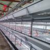 Buy cheap Automatic Layer Poultry Cage Chicken Farming Prefab House Complete Solutions Rose from wholesalers