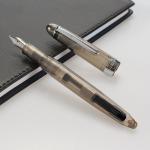 Transparent Gold Powder Color Ink Fountain Pen for Writing Practice in Business