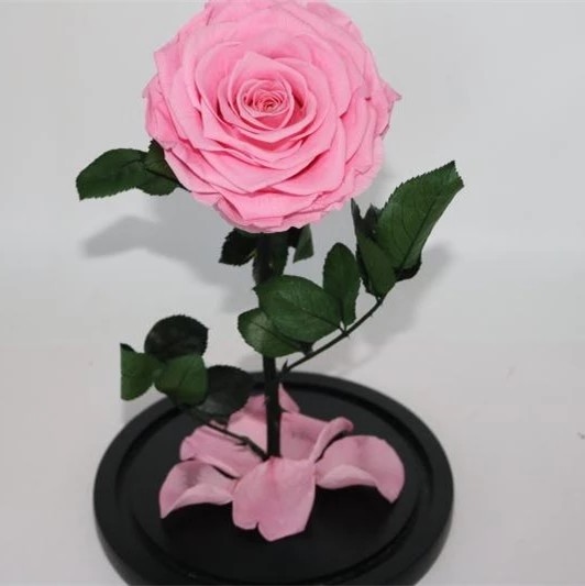 Top quality eternity rose preserved rose forever rose in glass rose gift