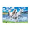Buy cheap Runnig Horse 3D Lenticular Pictures For House Decorative 0.6mmPET from wholesalers