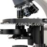Buy cheap Compensation Free Fluorescence Microscope For Learning A16.1103 from wholesalers