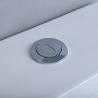 Buy cheap Siphonic Round American Standard One Piece Dual Flush Toilet Elongated Bowl from wholesalers