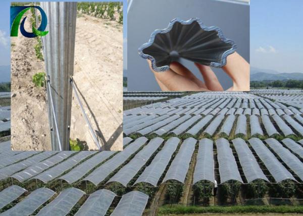 Buy cheap Vine Plants 50mm × 30mm Vineyard Grape Stake Hot Dipped Galvanized from wholesalers