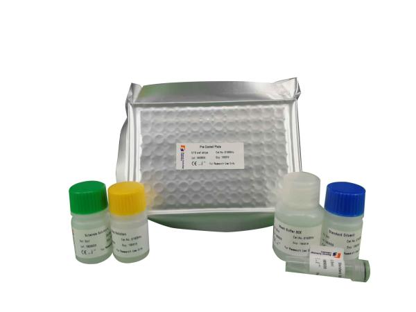 Buy cheap Strong Specificity Mouse Cathelicidin Antimicrobial Peptide CAMP LL-37 ELISA Kit 96 Wells from wholesalers