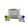 Buy cheap Strong Specificity Mouse Cathelicidin Antimicrobial Peptide CAMP LL-37 ELISA Kit 96 Wells from wholesalers