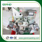 Tablet Strip Packing Machine Automatic Pharmaceutical Medicine NSL-160B
