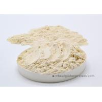 Buy cheap 8002 80 0 Baking Powder Gluten Wheat Gluten Powder For Food Industry 25 Kg / Bag product