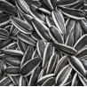 Buy cheap Sunflower Seed Turkey Market Price Ukraine Chinese Raw 601 Sunflower Seed Wholesale from wholesalers