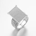 The Middle Finger and Ring Finger 925 Sterling Silver CZ Double Fingers Rings