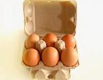 700pcs Paper pulp Molding Egg Carton box bottle tray Making Machine