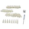 Buy cheap Standard Dental Exercise Teeth Dental Student Training Teeth 28pcs/32pcs Resin Permanent Teeth from wholesalers