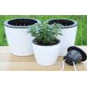 Buy cheap PP Thickened Not Brittle Round Flower Pots Wear Resistance from wholesalers