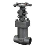 Risng Stem Bellow Seal Globe Valve , Socket Weld Globe Valve 1/4 - 3 Inch NPT