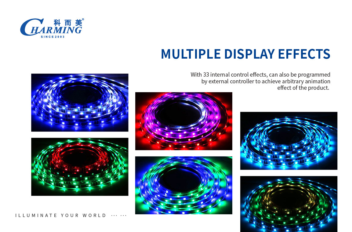 Multiscene flexible LED RGB Rope Light Strip length 500cm SPI Control