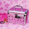 Buy cheap Butterfly Pink Lockable Vanity Case , Custom Professional Makeup Cases from wholesalers