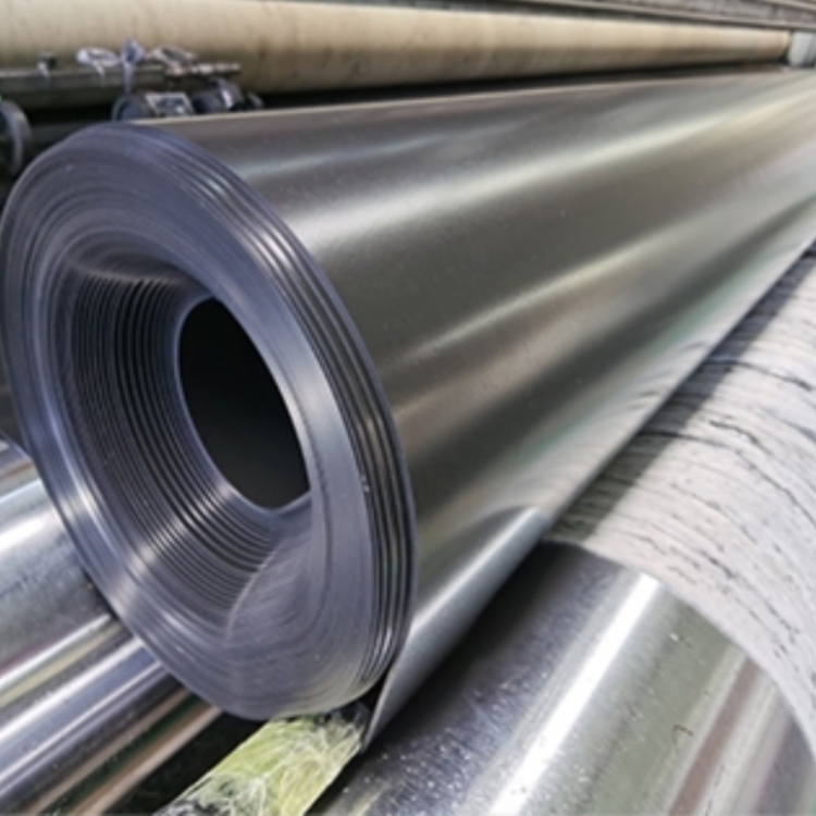 Modern Design Anti-Seepage Geomembrane Fish Pond Liner 0.5mm 1mm with Tear Resistance