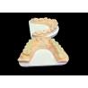 Buy cheap Natural Aesthetics Translucent Ceramic Crowns for Dental Restoration with Easy Cleaning and Long-Lasting Results from wholesalers