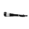 Buy cheap A2213205513 A2213205613 Rear Air Suspension Struts For Mercedes Benz W221 from wholesalers
