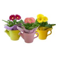 Buy cheap Solid Color Glazed Ceramic Planters Can Shaped Flower Pot For Indoor / Outdoor product