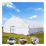 Fully Blackout Single-span 10x30m Agricultural Light Deprivation Mushroom