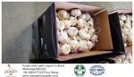 China garlic to Brazil