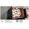 Buy cheap China garlic to Brazil from wholesalers