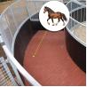 Buy cheap Hot-Selling Dog-Bone Shaped Rubber Brick Rubber Interlocking Horse Walker Mats For Outdoor /Horse Stable Rubber Mat from wholesalers