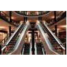 Buy cheap Indoor Automatic Shopping Mall Escalator Stainless Steel Energy Saving from wholesalers