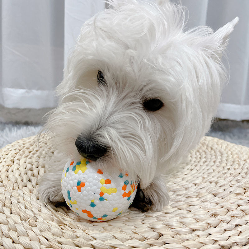Dog Chew Toy ETPU Solid Ball Interactive for Pet Toys and Accessories