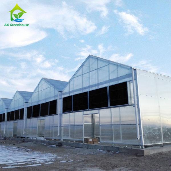 Medical Herb CBD Gable Light Deprivation Greenhouse Multispan Gutter Connect