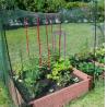 Buy cheap Customized Bird Proof Net Green Reusable Bird Netting Anti UV For Garden Protection from wholesalers