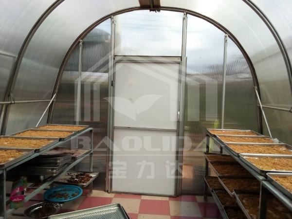 PC Board Drying Greenhouse with Ventilation Equipment for Efficient Herb and