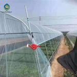 Anti Corrosion Plastic Film 10m Single Tunnel Greenhouse