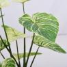 Buy cheap Bedroom Artificial Potted Floor Plants Plastic Philodendron Birkin from wholesalers