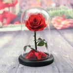 Wholesale Price beauty and the beast roses preserved roses in glass dome