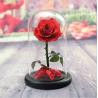 Buy cheap Wholesale New Design Preserved flower Eternal Rose in Glass Home Decoration from wholesalers