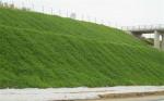14mm Thickness HDPE Reinforced 3D Geomat The Best Service for Your Construction