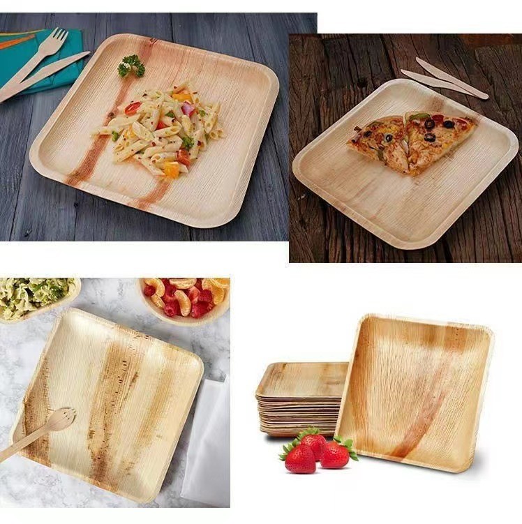 SGS 100% Biobased Palm Leaf Plates Disposable For Children'S Birthday Party