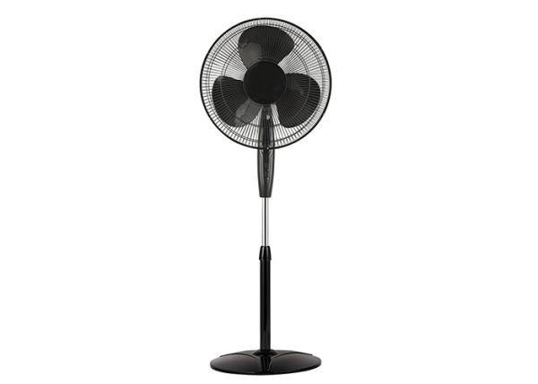 Quality Black Oscillating Pedestal Fan For Bedroom 3 Colourful Blade Plastic Grill Round Pin Plug for sale