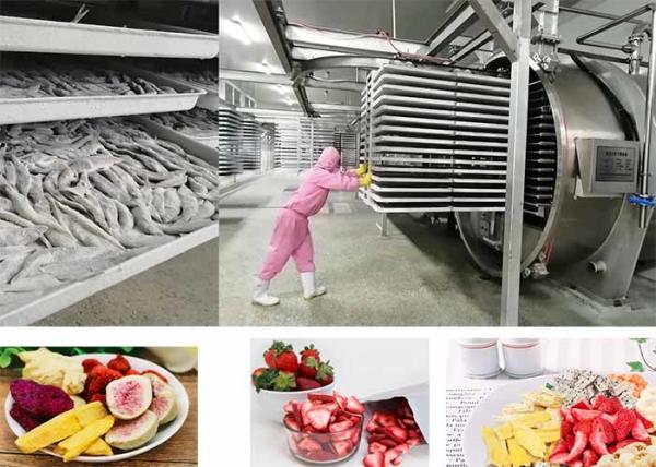 Buy cheap PLC Controlled Food Vacuum Food Freeze Dryer 200kg/batch from wholesalers