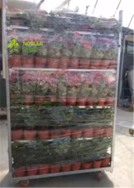 Buy cheap Flower And Plant Dutch Flower Trolley Metal Pool Rack For Greenhouse Cc Container from wholesalers
