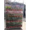 Buy cheap Flower And Plant Dutch Flower Trolley Metal Pool Rack For Greenhouse Cc Container from wholesalers