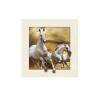 Buy cheap Stock Horse Image 5D Pictures Lenticular Photo Printing PET/PP Lenticular Printing from wholesalers