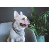 Buy cheap 45x45cm Custom Dog Bandana Collars For Puppies Polyester Cotton Polymeric from wholesalers