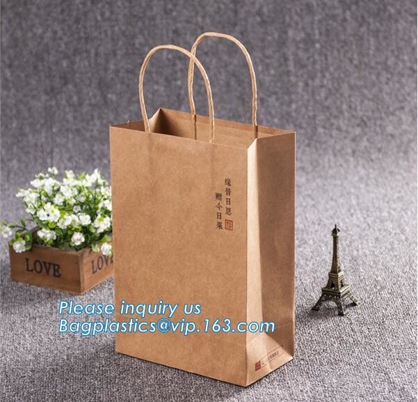 china custom design luxury shopping gift paper carrier bag template,Luxury Kraft Brown Paper Shopping Gift Jewelry Paper