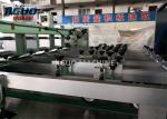 Lead Edge Waste Paper Stripping Machine Corrugated Cardboard Automatic Die