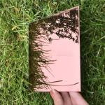 Corrosion Resistant 3D Embossed Steel Plate , Anti Oxidation Steel Mirror Sheet