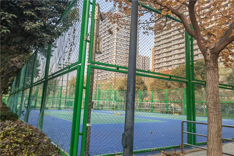 High Security Galvanized Vinyl Coated Chain Link Fence For Stadium Fence