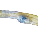 LSZH LC UPC SM Multi Cores 2.0mm Fiber Optic Patch Cord