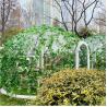 Buy cheap Handy Installation Garden Bubble Tent Weatherproof Bubble Camping Tent from wholesalers
